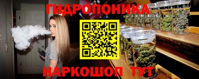 a pvp Свободный